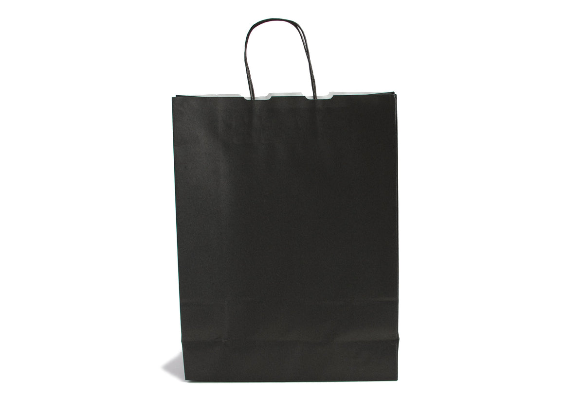 Accessory Black Kraft Twist Handle Carrier Bags