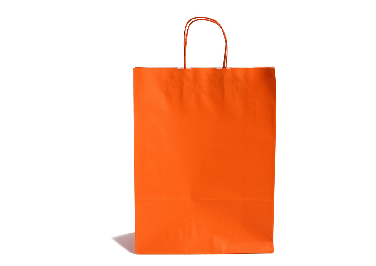 Accessory Orange Kraft Twist Handle Carrier Bags