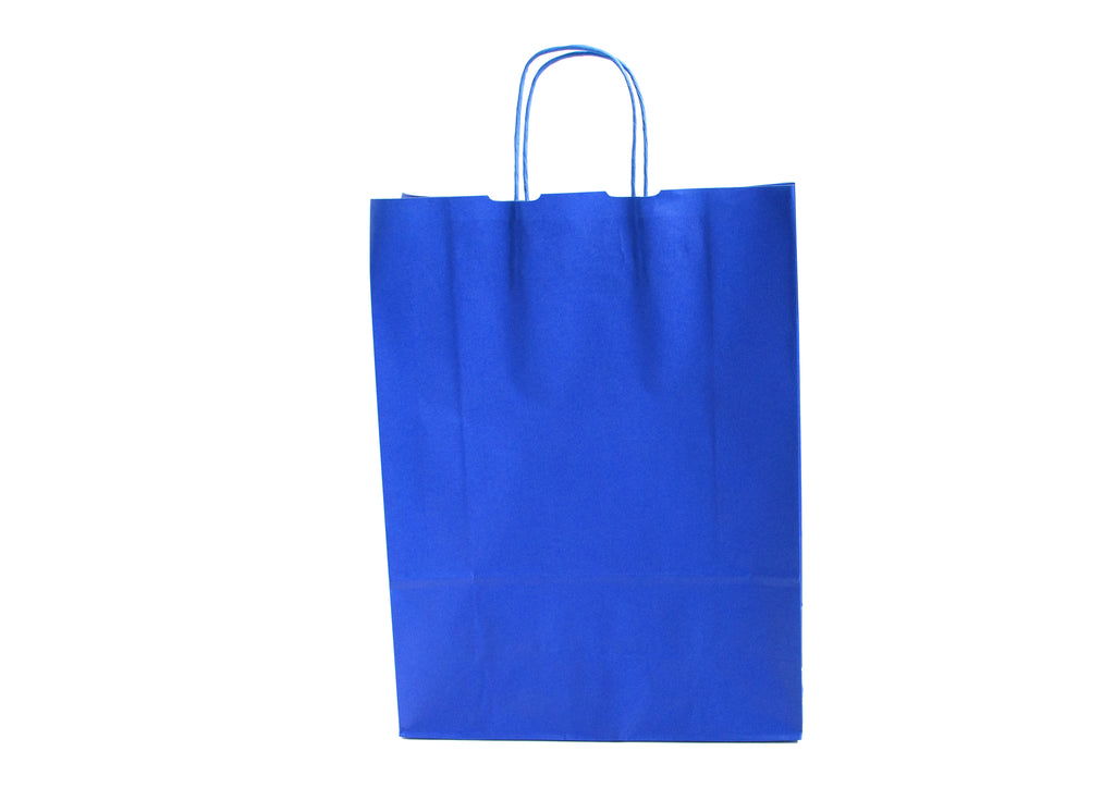 Accessory Blue Kraft Twist Handle Carrier Bags